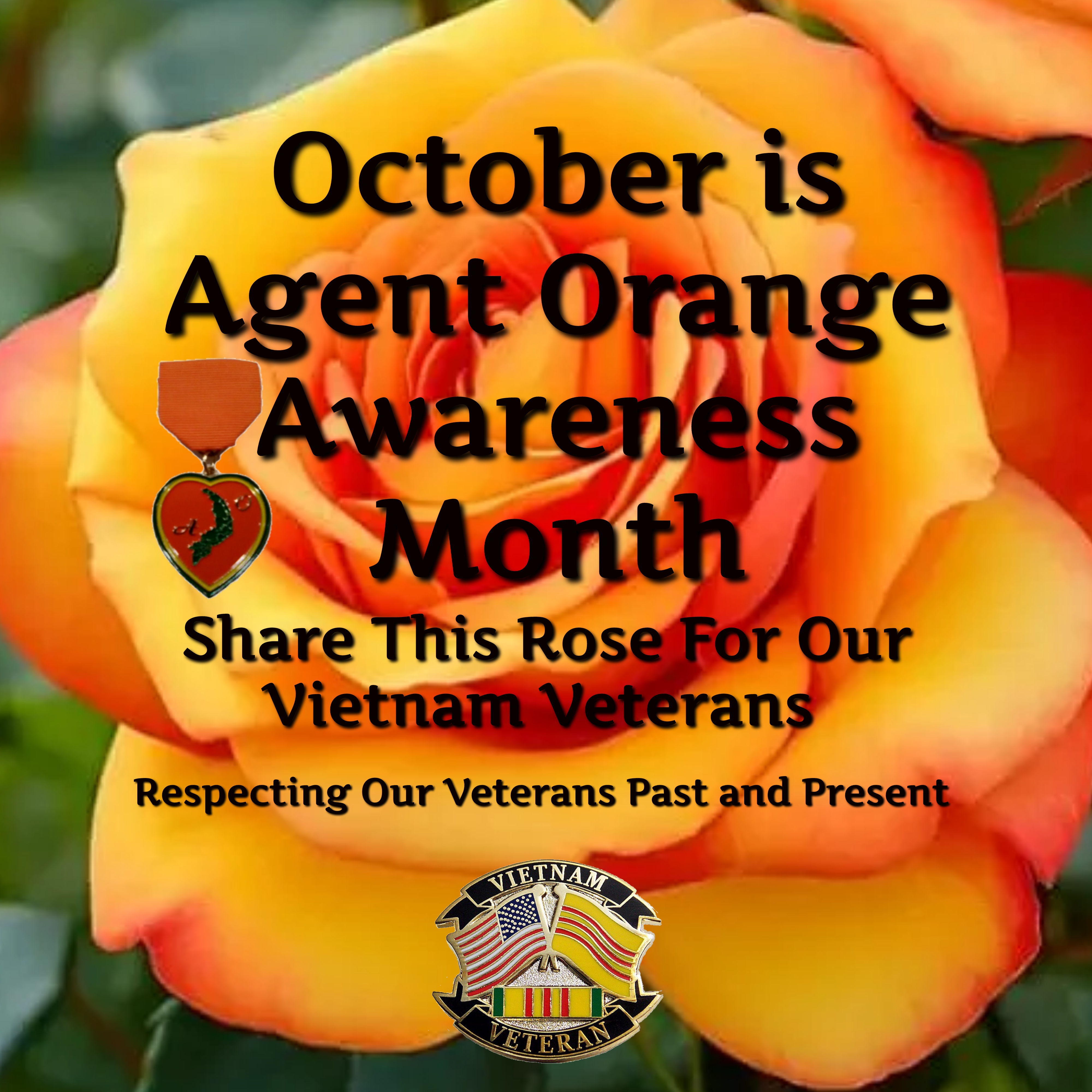 October is Agent Orange Awareness Month CVB