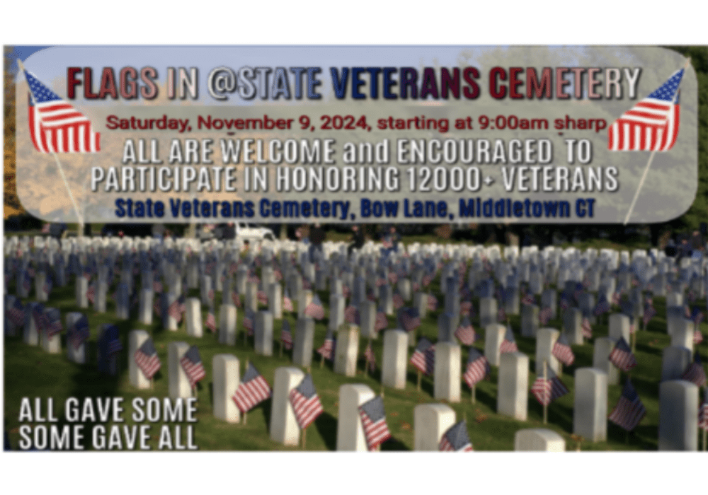 Veterans Day Flags In at the State Veterans Cemetery Middletown