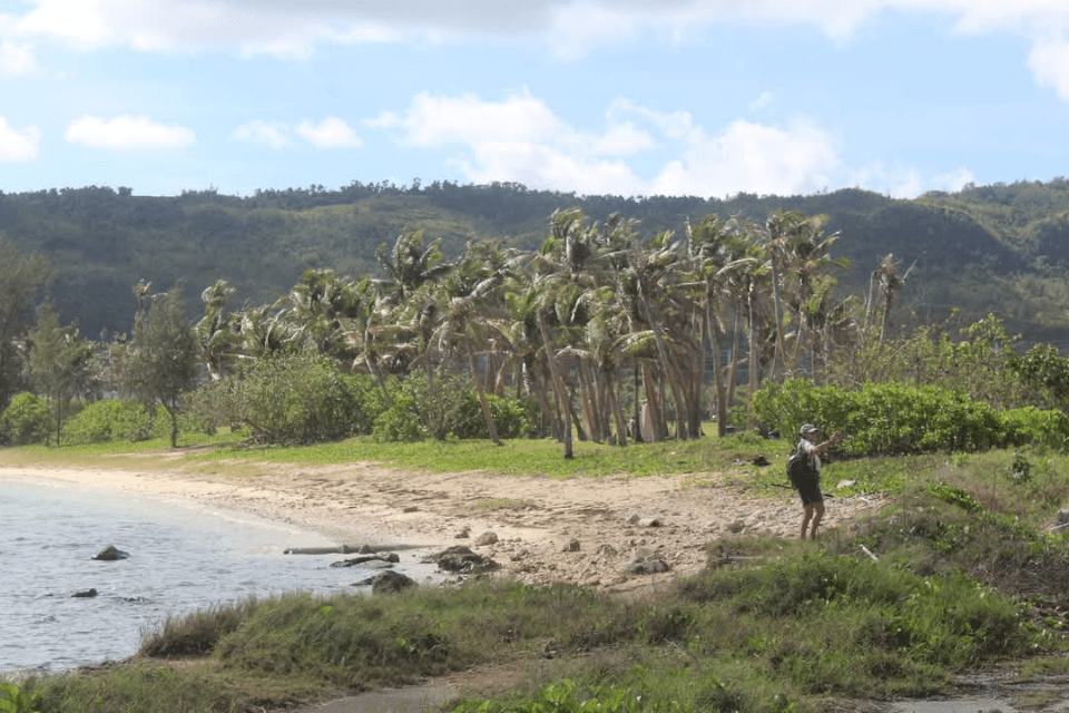 The spot World War II veteran and Iwo Jima survivor Joe Caminiti landed in WWII