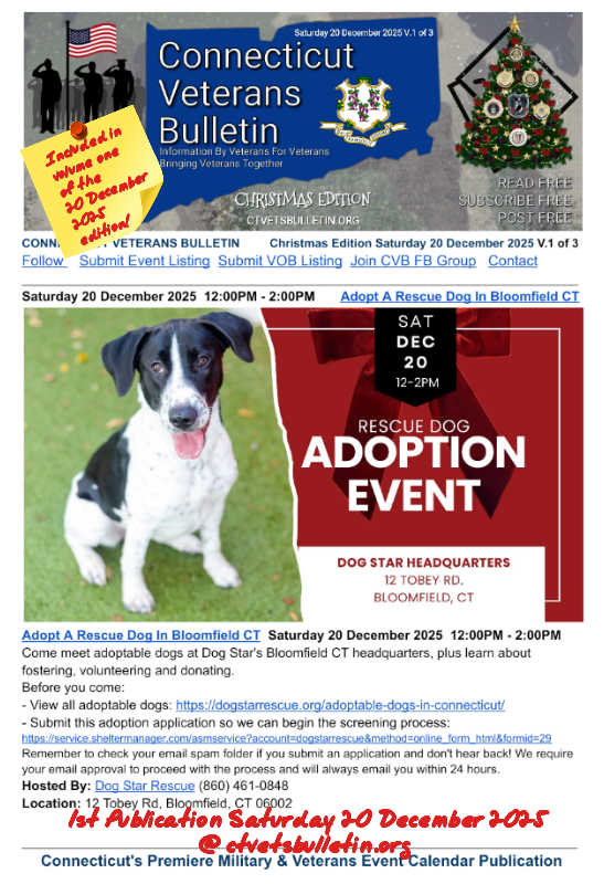 Adopt A Rescue Dog In Bloomfield CT